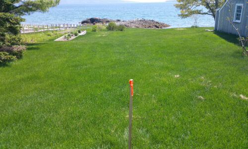 photo of a boundary stake on a lawn