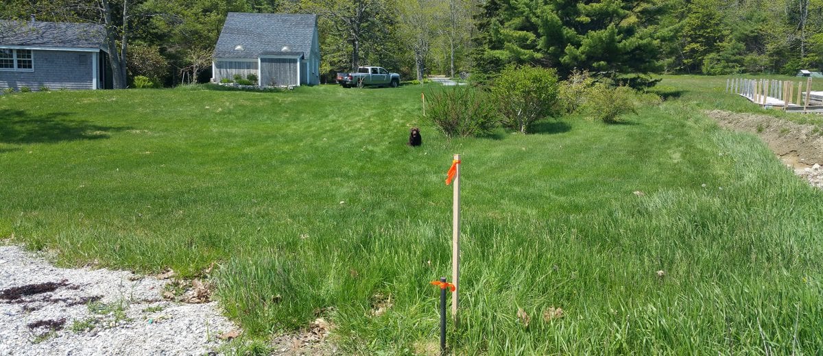 photo of boundary stake in lawn
