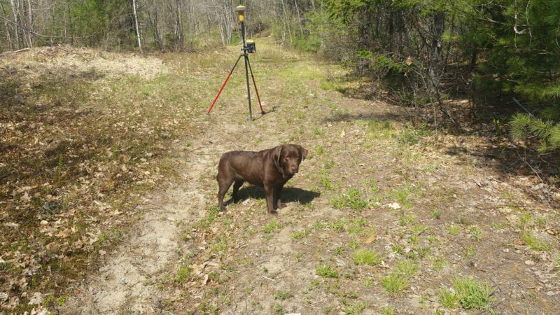 photo of penny the dog and surveying equipment