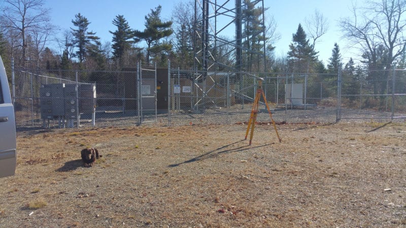 photo of penny the dog and surveying equipment in front of communications tower