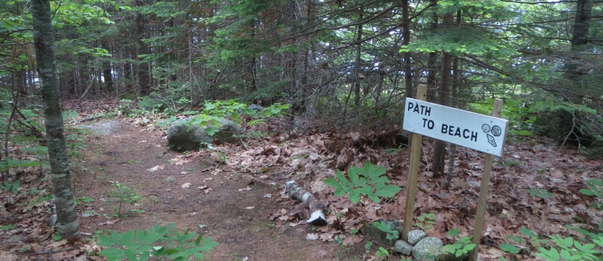 photo of path in the woods with sign that says path to beach