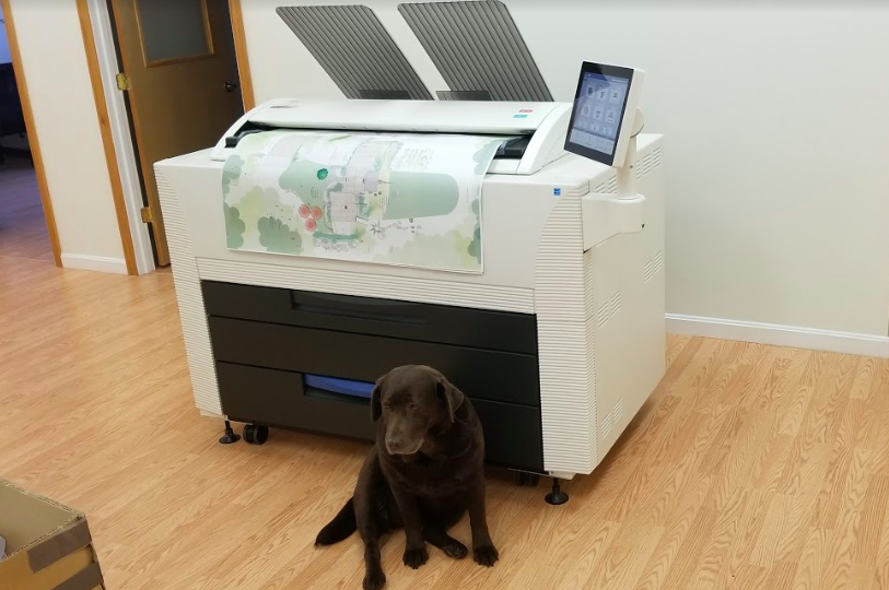 penny the dog sitting in front of a wide format printer
