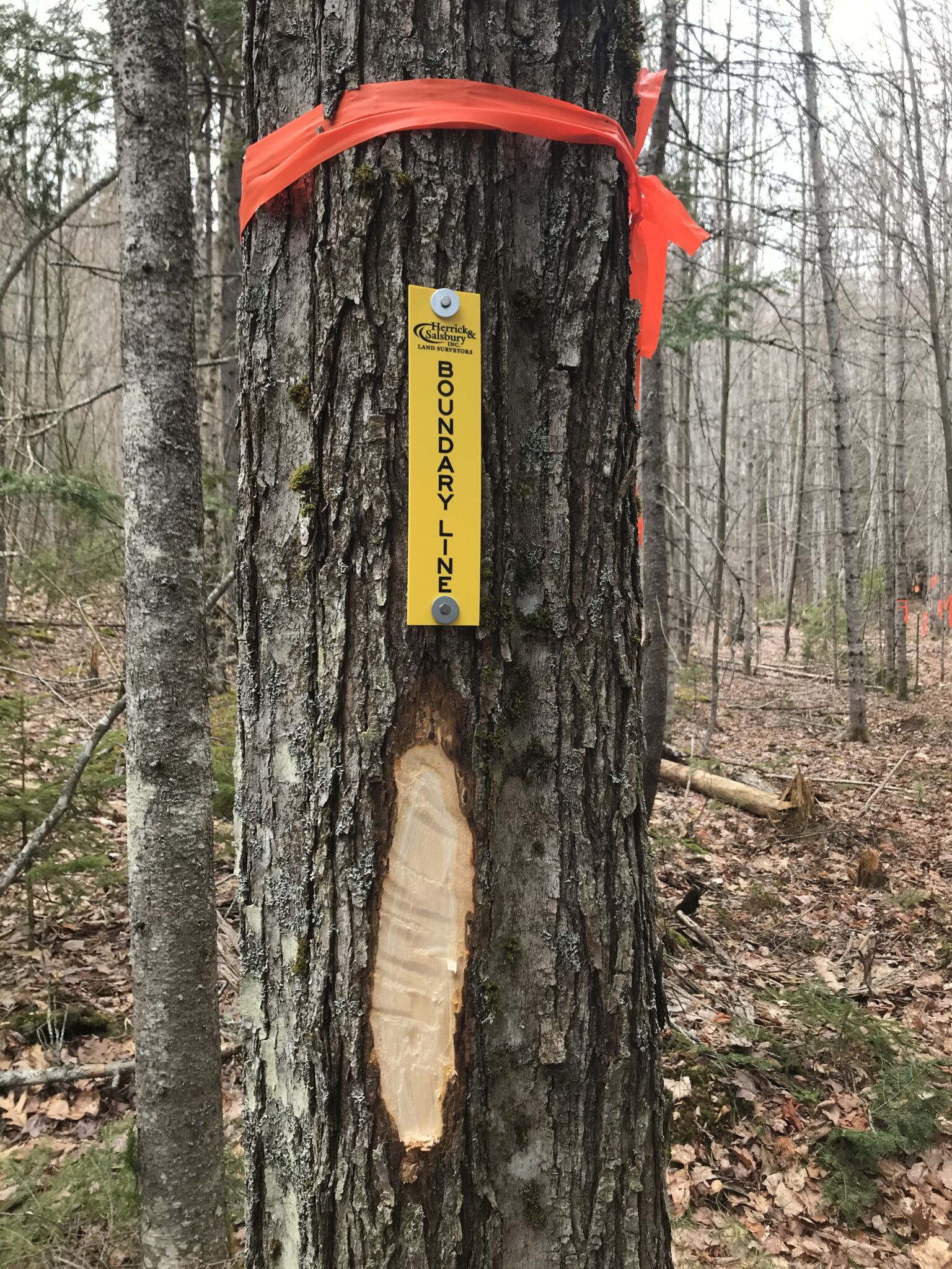 Line Markings Herrick & Salsbury